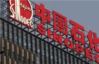 «سينوبك» تدرس تنفيذ مشروع للبتروكيماويات فى «القناة» 